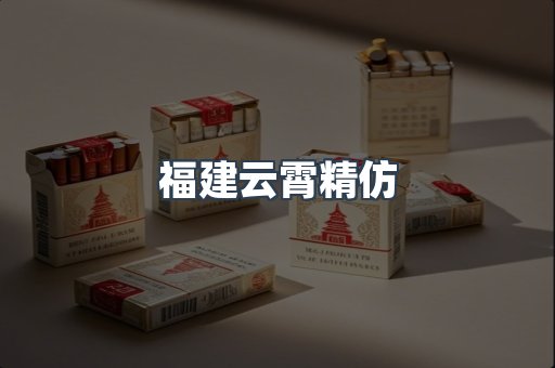 福建云霄精仿